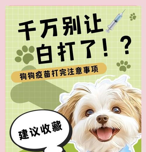 狗狗疫苗接种全攻略：必打疫苗种类与接种时间安排