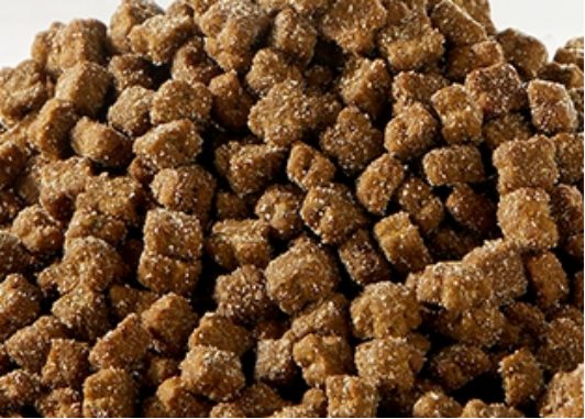 Wowo离乳期幼猫粮评测 高蛋白配方断奶好选择 Wowo离乳期幼猫粮评测 高蛋白配方断奶好选择