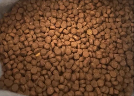 城市理享AN44幼猫粮评测 高性价比90%动物性原料 城市理享AN44幼猫粮评测 高性价比90%动物性原料