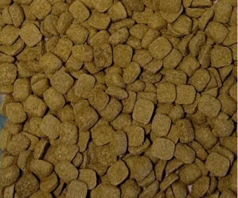 爵宴源力碗烘焙犬粮评测 营养全面性价比一般 爵宴源力碗烘焙犬粮评测 营养全面性价比一般