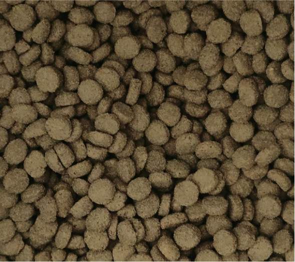 有鱼鲜肉酥化猫粮测评 高鲜肉低敏配方优缺点 有鱼鲜肉酥化猫粮测评 高鲜肉低敏配方优缺点