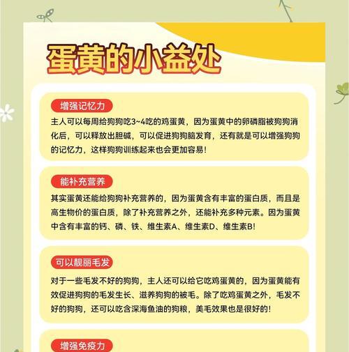 狗狗可以吃蛋白蛋黄吗?正确喂食方法 狗狗可以吃蛋白蛋黄吗?正确喂食方法