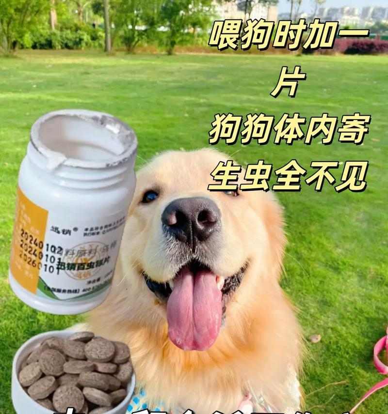 灭虫宁使用频率指南 狗狗驱虫多久一次