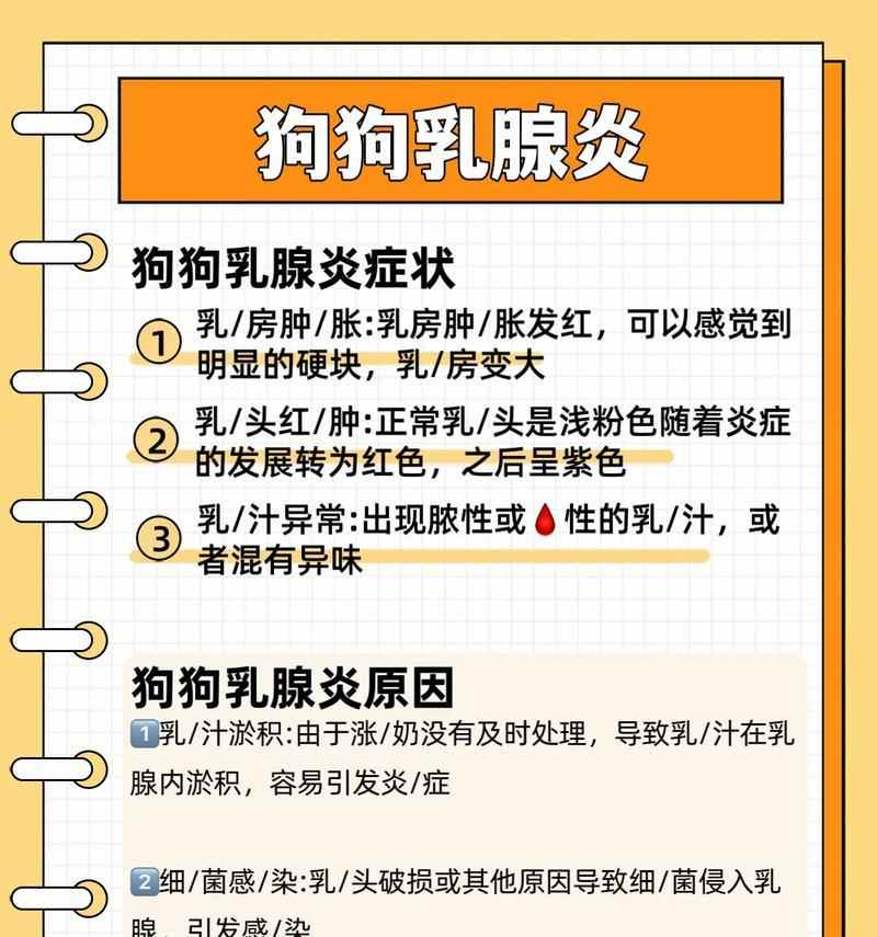 识别并治疗狗产后乳腺炎的15个症状