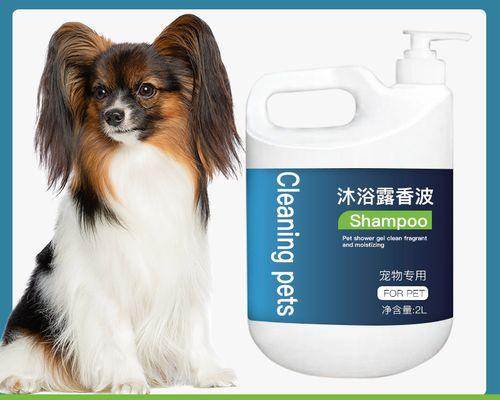 蝴蝶犬洗澡频率与护理技巧指南
