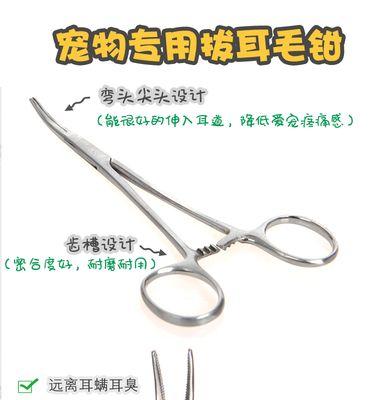 金毛耳朵清洁频率与正确方法指南