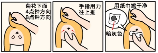 猫咪身上有臭味的原因及解决方法 猫咪身上有臭味的原因及解决方法