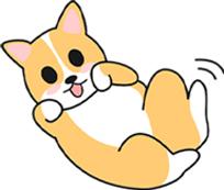 狗狗怀孕饮食护理全攻略 避免难产风险