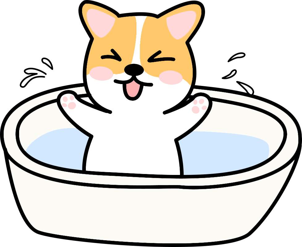 狗狗怀孕饮食护理全攻略 避免难产风险