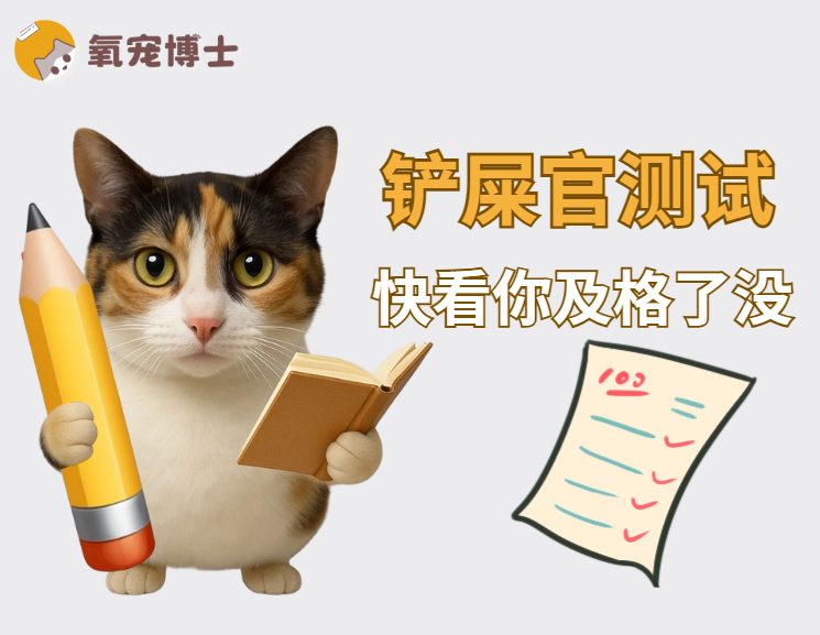 20道养猫基础题测测你是不是合格铲屎官 20道养猫基础题测测你是不是合格铲屎官