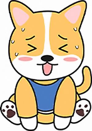 狗狗急性胃扭转症状与急救指南