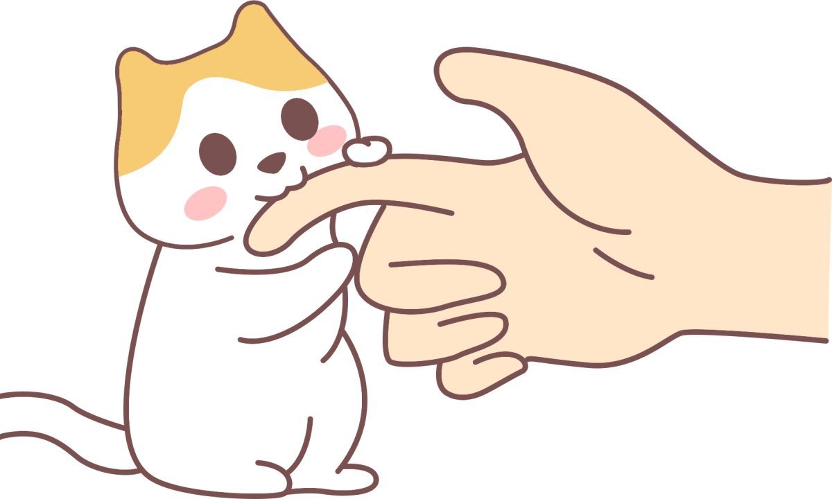 猫咪咬人怎么训练纠正 5招有效制止 猫咪咬人怎么训练纠正 5招有效制止