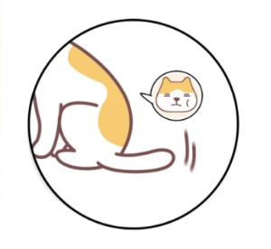 解读猫咪尾巴语言：摇尾巴背后的情绪信号