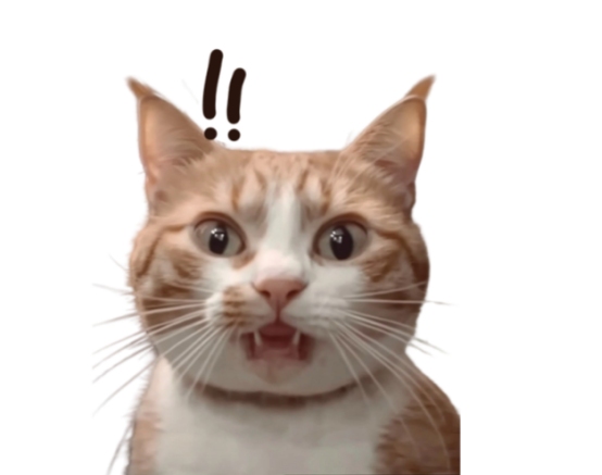 猫咪舔过的水能喝吗?健康风险解析 猫咪舔过的水能喝吗?健康风险解析