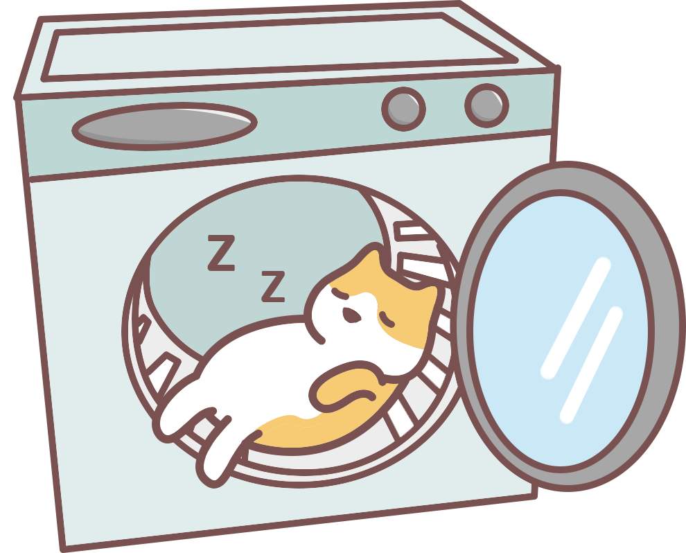 猫咪社会化训练黄金期与方法