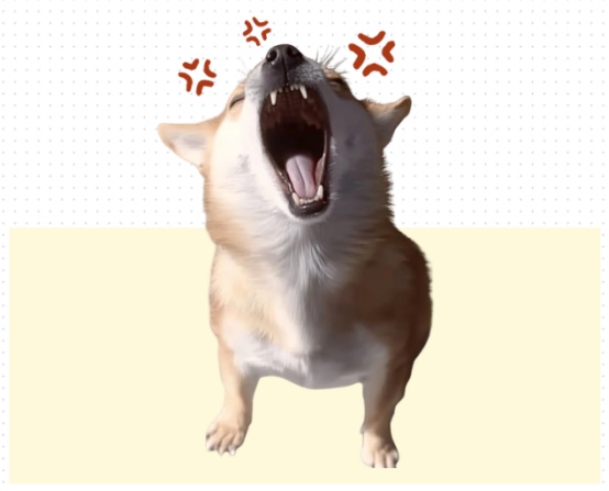 科学训练狗狗 禁止打骂避免心理问题 科学训练狗狗 禁止打骂避免心理问题