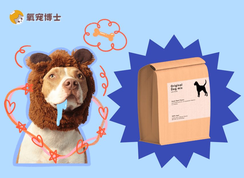 狗狗胰腺炎必须吃处方粮？低脂饮食全解析