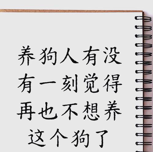 养狗全攻略：选犬护理技巧指南