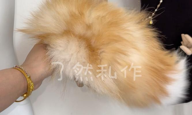 狗狗尾巴15个功能解析 理解情绪信号 狗狗尾巴15个功能解析 理解情绪信号