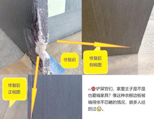 15种防止宠物咬抓家具的有效方法