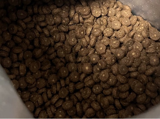 卫仕爆爆袋冻干注心猫粮评测 蛋白质高达41.89%适合增肌美毛 卫仕爆爆袋冻干注心猫粮评测 蛋白质高达41.89%适合增肌美毛