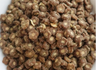 布兰德鱼油酥化猫粮评测:高蛋白美毛配方优缺点分析 布兰德鱼油酥化猫粮评测:高蛋白美毛配方优缺点分析