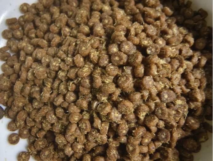 猫所X40猫粮评测:肠胃护理型配方,含美洲大蠊成分分析 猫所X40猫粮评测:肠胃护理型配方,含美洲大蠊成分分析