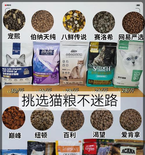 四个月猫咪饮食搭配完全指南，科学喂养助力健康成长