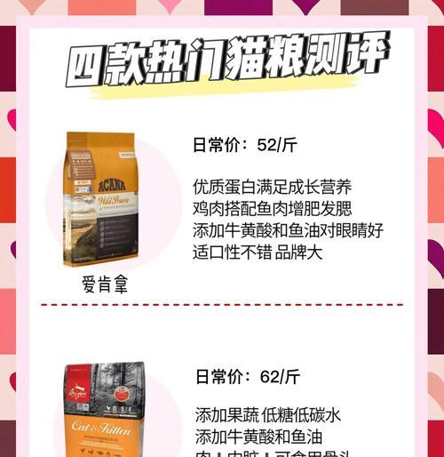 四个月猫咪饮食搭配完全指南，科学喂养助力健康成长