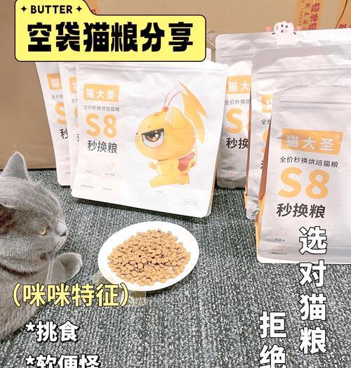 四个月猫咪饮食搭配完全指南，科学喂养助力健康成长