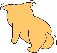 小狗到新家发抖怎么回事?三个主要原因及应对方法 小狗到新家发抖怎么回事?三个主要原因及应对方法