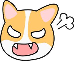 狗狗双排牙怎么办？乳牙滞留处理方法及危害预防