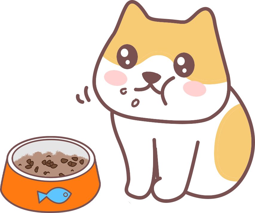 猫咪喂食方式选择指南：自由采食vs定时投喂哪个更适合