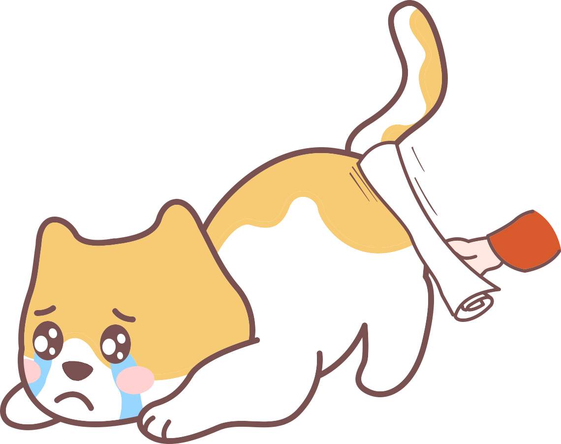 猫咪犯错不能打骂，科学纠正不良行为的方法