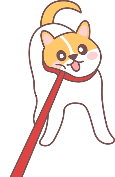 老年犬遛狗指南：科学运动方法避免关节僵硬