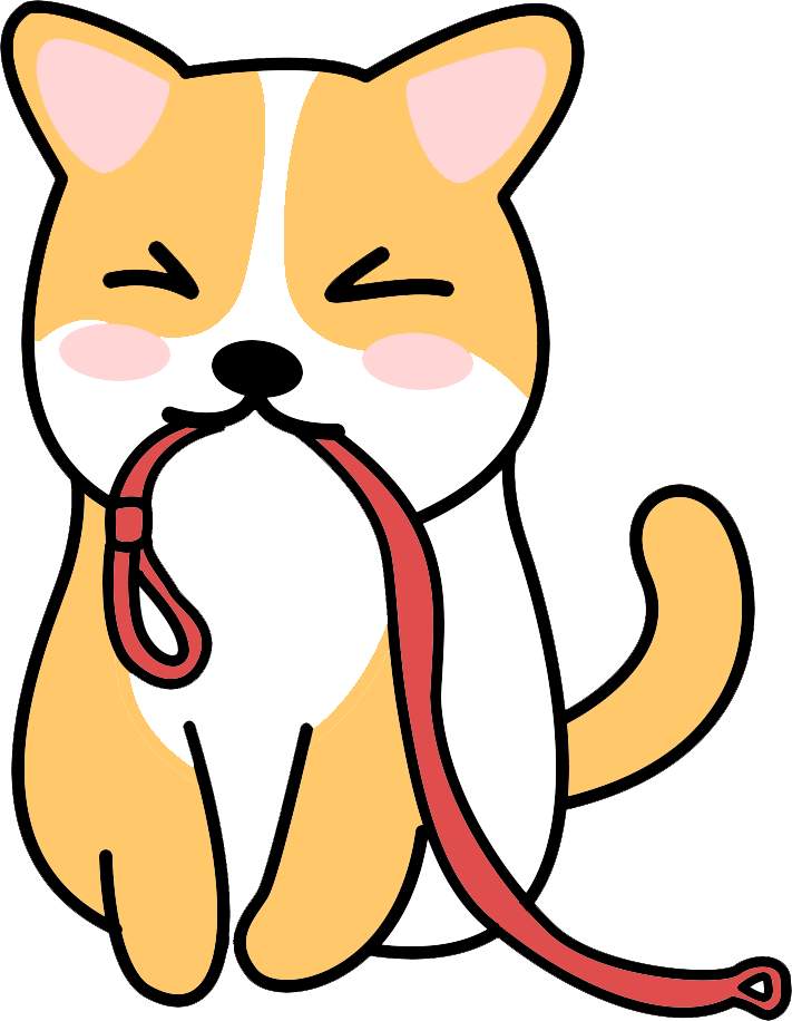 老年犬遛狗指南：科学运动方法避免关节僵硬