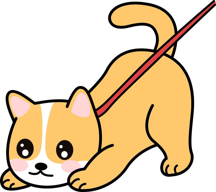 老年犬遛狗指南：科学运动方法避免关节僵硬