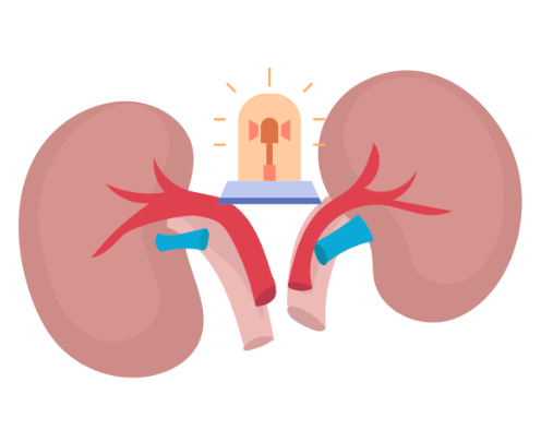 猫咪肾脏不好有什么表现?早期症状识别指南 猫咪肾脏不好有什么表现?早期症状识别指南