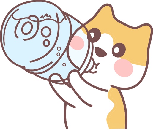 猫咪肾脏不好有什么表现?早期症状识别指南 猫咪肾脏不好有什么表现?早期症状识别指南