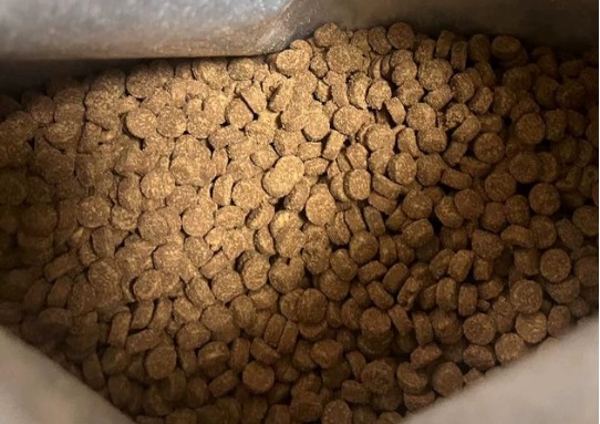 pidan烘焙猫粮高蛋白测评 优缺点分析