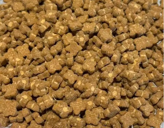 豆柴鲜活力PRO烘焙猫粮测评 美毛高性价比 豆柴鲜活力PRO烘焙猫粮测评 美毛高性价比