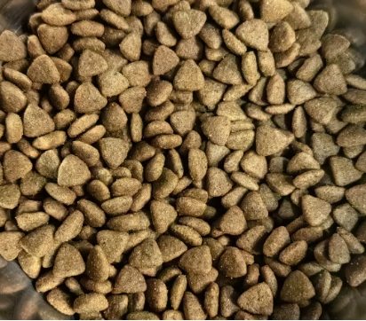 诚实一口P32猫粮评测 平价低敏粮适合肠胃敏感猫 诚实一口P32猫粮评测 平价低敏粮适合肠胃敏感猫