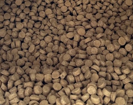 豆柴鲜肉烘焙猫粮测评 肠胃友好但价格偏高