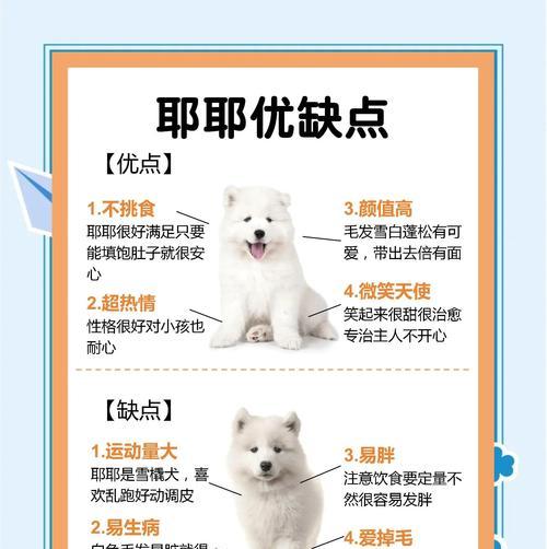 7个月萨摩耶体外驱虫全攻略 7个月萨摩耶体外驱虫全攻略