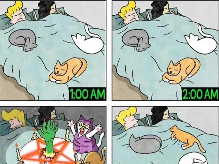 训练猫咪不上床的15个实用方法 训练猫咪不上床的15个实用方法