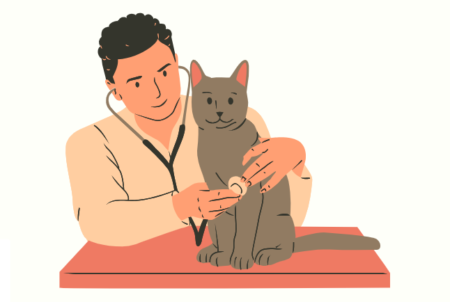 猫咪打疫苗后注射部位肿胀处理方法