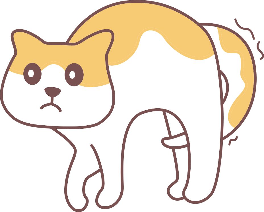 猫咪总想跑出去的原因和解决办法 猫咪总想跑出去的原因和解决办法