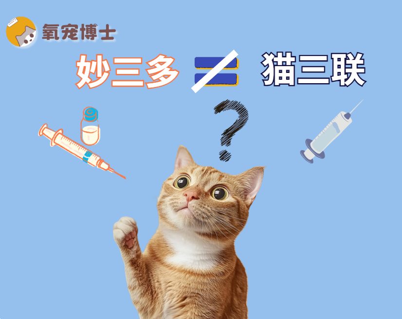猫三联疫苗与妙三多区别解析 猫三联疫苗与妙三多区别解析