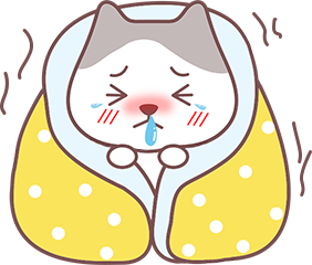 猫咪洗澡后没精神怎么办 猫咪洗澡后没精神怎么办