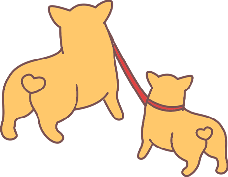 狗狗咳嗽像要吐?犬窝咳症状与应对方法 狗狗咳嗽像要吐?犬窝咳症状与应对方法